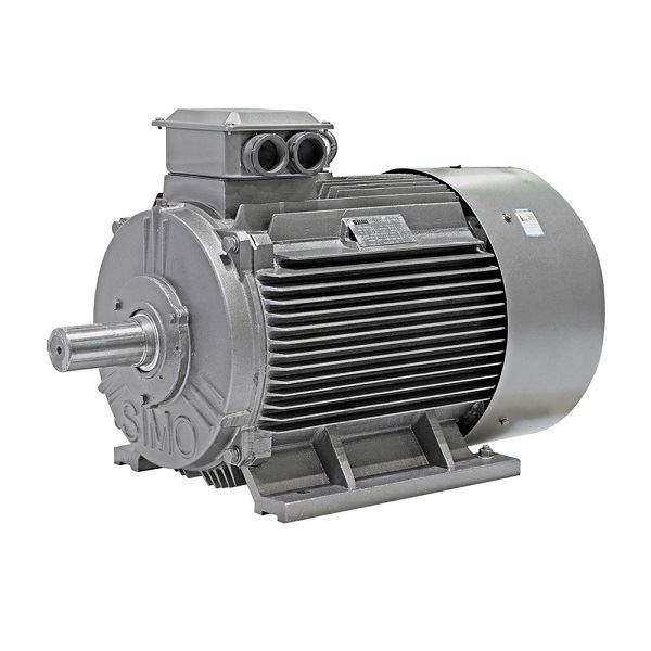 Low Voltage AC Motor